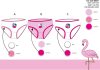 Flamingó kislány bugyi - 3 darabos pamut bugyi - 110-116