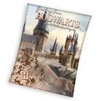   Harry Potter Hogwarts Coral fleece takaró 130x160cm 240GSM vastag puha prémium anyagból