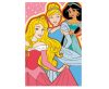 Disney Hercegnők polár takaró - 100 x 150 cm - 1 Disney Hercegnők polár takaró - 100 x 150 cm - 1