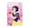 Disney Hercegnők polár takaró - 100 x 150 cm - 2 Disney Hercegnők polár takaró - 100 x 150 cm - 2