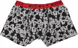 Mickey boxeralsó