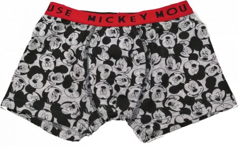 Mickey boxeralsó